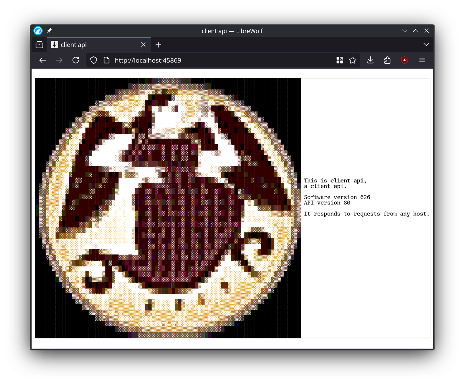 A screenshot of a web browser showing the hydrus client API splash screen at http://localhost:45869
