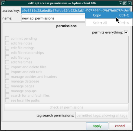 Edit api access permissions window for a new API key after selecting the add manually item.